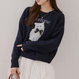 ネイビー | 【新色追加！】こだわりの動物ニット | RMAF　NICE CLAUP / OLIVE des OLIVE