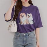 犬メガネBigT | RMAF NICE CLAUP / OLIVE des OLIVE | 詳細画像14