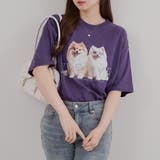 犬メガネBigT | RMAF NICE CLAUP / OLIVE des OLIVE | 詳細画像15