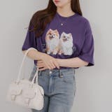 犬メガネBigT | RMAF NICE CLAUP / OLIVE des OLIVE | 詳細画像16
