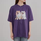 犬メガネBigT | RMAF NICE CLAUP / OLIVE des OLIVE | 詳細画像18