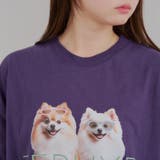犬メガネBigT | RMAF NICE CLAUP / OLIVE des OLIVE | 詳細画像22