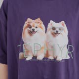 犬メガネBigT | RMAF NICE CLAUP / OLIVE des OLIVE | 詳細画像24