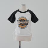 アソートドロストチビT | RMAF　NICE CLAUP / OLIVE des OLIVE | 詳細画像55 