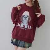 ボルドー | ニット帽イヌプルオーバー | RMAF NICE CLAUP / OLIVE des OLIVE