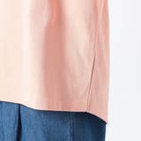 国産デラヴェ天竺カットソー シーズンカラー | NICOLE | 詳細画像12