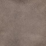 ムラプリントスウェードポンチ多ポケットカーゴ | NICOLE | 詳細画像17 