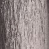 エステルクレープイージーパンツ | NICOLE | 詳細画像12 