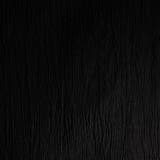 トリコットワッシャープリント セットアップジャケット | NICOLE | 詳細画像16 