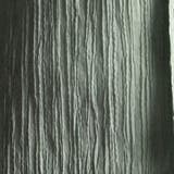 カラープリーツ7分袖スタンドカラーシャツ | NICOLE | 詳細画像21 