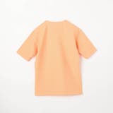 【RIELABO】シャーリングジャカード半袖キーネックカットソー | NICOLE | 詳細画像11 