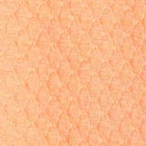 【RIELABO】シャーリングジャカード半袖キーネックカットソー | NICOLE | 詳細画像17 