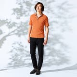 【WEB限定】ランダムテレコスキッパーポロシャツ | NICOLE | 詳細画像4 