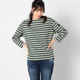 40グリーン | 日本製 デラヴェ 天竺ボーダーカットソー | NICOLE