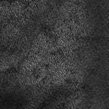 ＤＩＧＮＥＡＴポンチイージーパンツ | NICOLE | 詳細画像11 