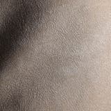 【24年モデル EC限定再販売】スタンドカヴァーオールジャケット | NICOLE | 詳細画像20 