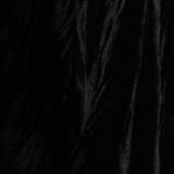 ストレッチプリーツベロア スタンドシャツ | NICOLE | 詳細画像16 