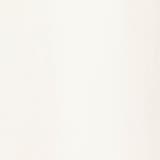 ネコ刺繍Tシャツ | NICOLE | 詳細画像11 