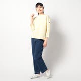 【日本製】 デラヴェ天竺 ボーダーカットソー | NICOLE | 詳細画像4 