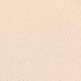 【KELTY別注】バックプリントTシャツ | NICOLE | 詳細画像18 