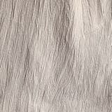 エステルクレープ スタンドカラーカヴァーオールジャケット | NICOLE | 詳細画像19 