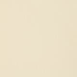 チュール付きタンクトップ | NICOLE | 詳細画像11