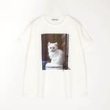 フレンチスリーブ猫Tシャツ | NICOLE | 詳細画像15 