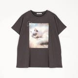 フレンチスリーブ猫Tシャツ | NICOLE | 詳細画像16 