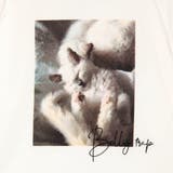 フレンチスリーブ猫Tシャツ | NICOLE | 詳細画像24 