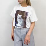 28オフホワイト | フレンチスリーブ猫Tシャツ | NICOLE