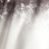 【NICOLE SPORTS】ムラ柄スキッパーポロシャツ | NICOLE | 詳細画像20 