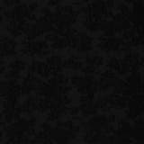 【RIELABO】ブロークンシアージャカード ヘンリーネックカットソー | NICOLE | 詳細画像15 