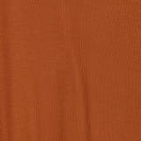 シアーロングTシャツ | NICOLE | 詳細画像20 