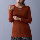 13ブラウン | シアーロングTシャツ | NICOLE