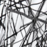 【RIELABO】レイズオブライトプリントシャツ(日本製) | NICOLE | 詳細画像14 