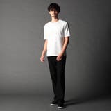 【25年モデル EC限定再販売】ゼブラ柄スプレー風ぼかしプリントTシャツ | NICOLE | 詳細画像2