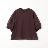 シアー切り替えTシャツ | NICOLE | 詳細画像18