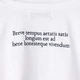 【ZELDA】グラフィックデザインロングTシャツ | NICOLE | 詳細画像23 