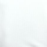 【HIDEAWAYS BLACK】シアーマイクロチェックレギュラーカラーシャツ | NICOLE | 詳細画像16 