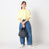 日本製デラヴェ天竺 半袖Ｔシャツ ボーダー/シーズンカラー | NICOLE | 詳細画像2 