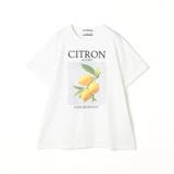 【ZELDA】アソートデザインビッグTシャツ | NICOLE | 詳細画像13 