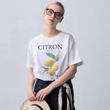 91その他2 | 【ZELDA】アソートデザインビッグTシャツ | NICOLE