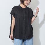 49ブラック | シアーストライプバンドカラーブラウス | NICOLE