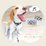 リード 犬 本革 | ninon | 詳細画像20 