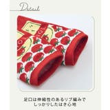 (19 25cm) 調味料柄 | nissen | 詳細画像2 