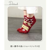 (19 25cm) 調味料柄 | nissen | 詳細画像5 