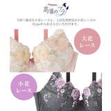高嶺のブラジャーショーツセット 脇高 プレミアム | nissen | 詳細画像3