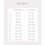 吸汗速乾メッシュ チラ見え防止レースハーフトップ2枚組 | nissen | 詳細画像11