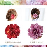 浴衣 アクセサリー ヘアアクセサリー 髪飾り 結婚式 成人式 七五三 前撮り | Noelmarket | 詳細画像5