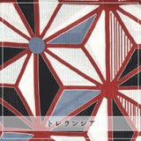 浴衣 レディース 女性浴衣 | Ainokajitsu | 詳細画像2